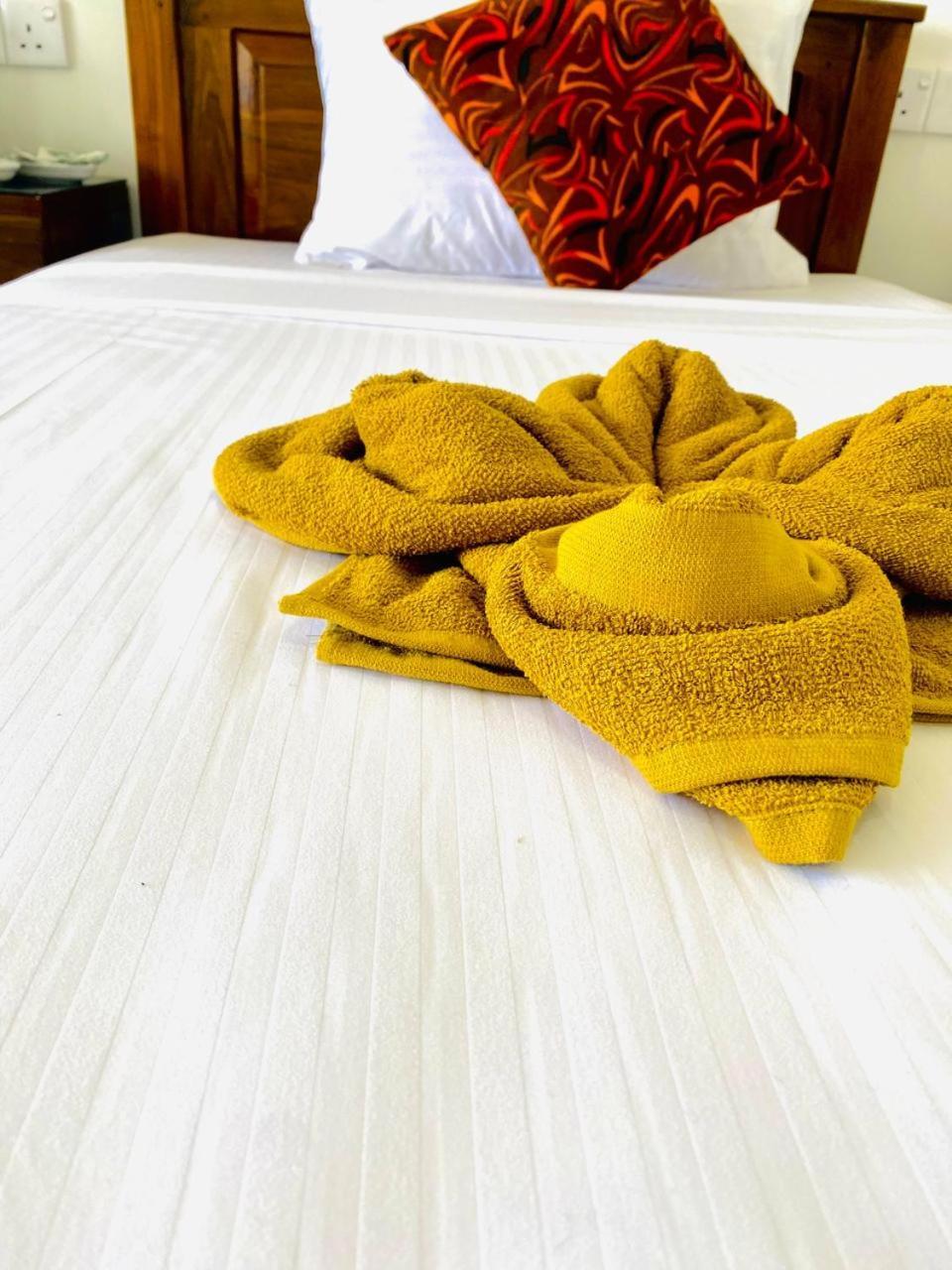 Pleasant Peak Bed & Breakfast Ella Ngoại thất bức ảnh