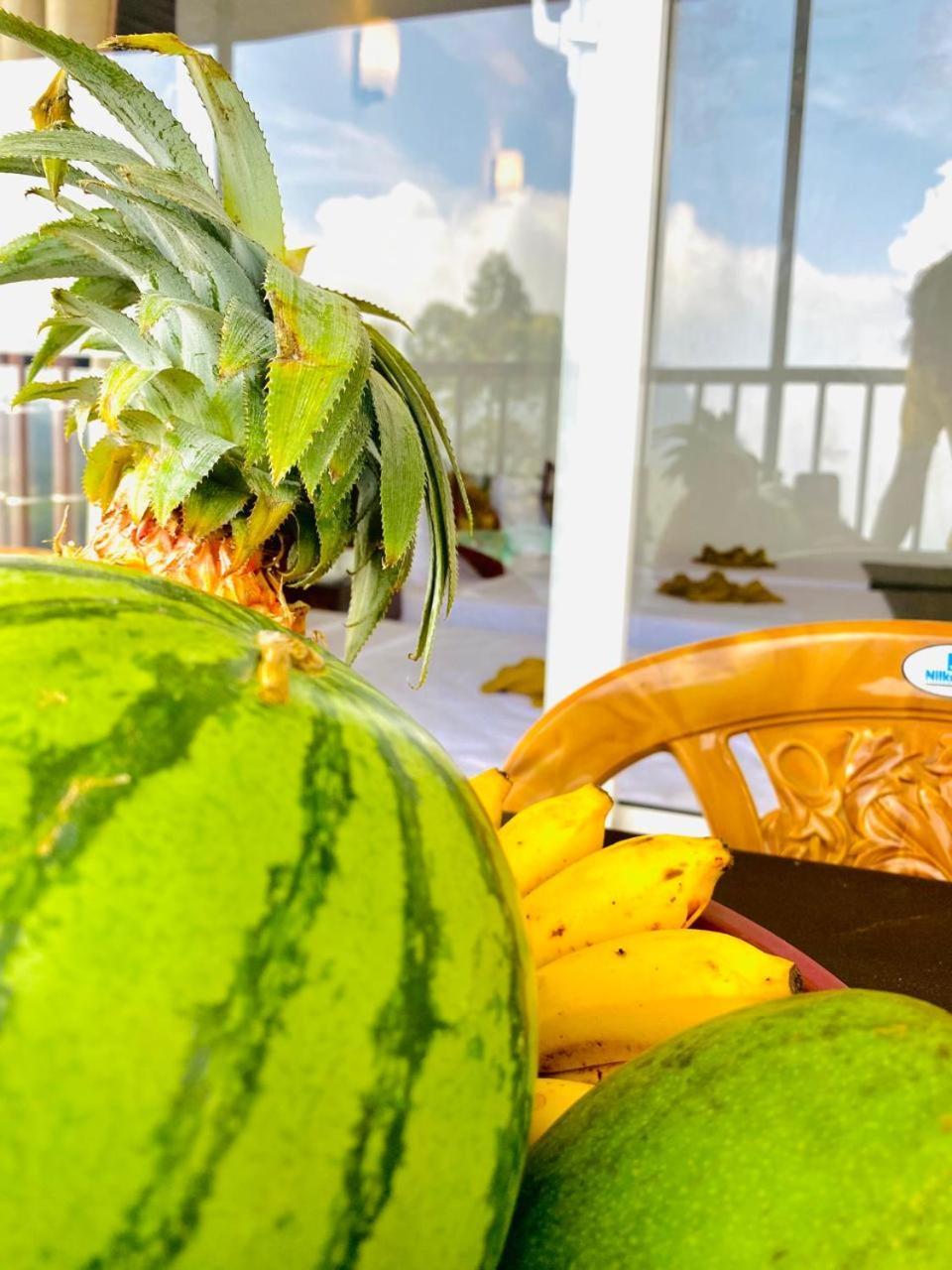 Pleasant Peak Bed & Breakfast Ella Ngoại thất bức ảnh