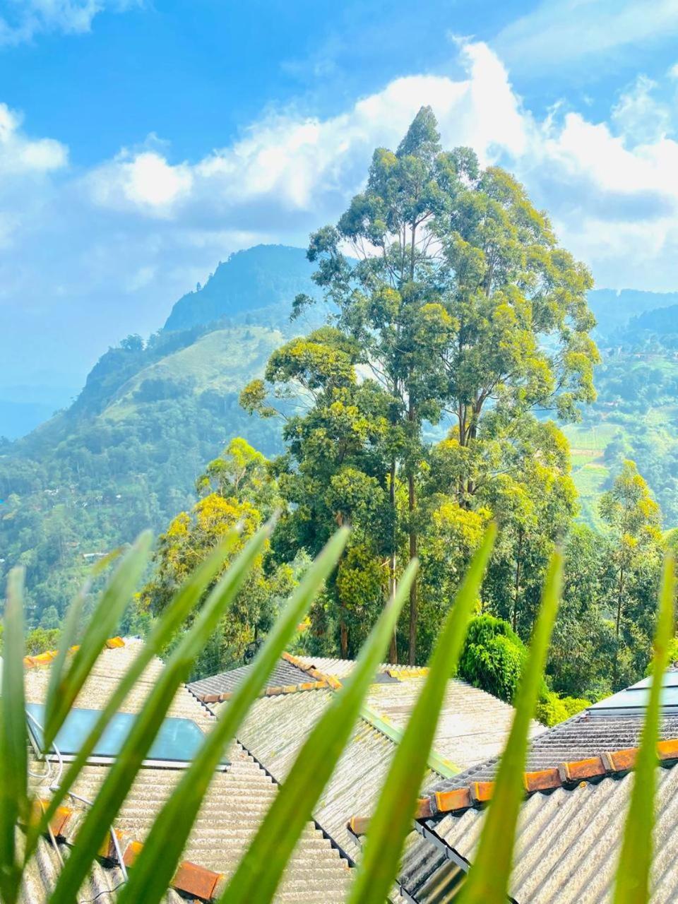 Pleasant Peak Bed & Breakfast Ella Ngoại thất bức ảnh