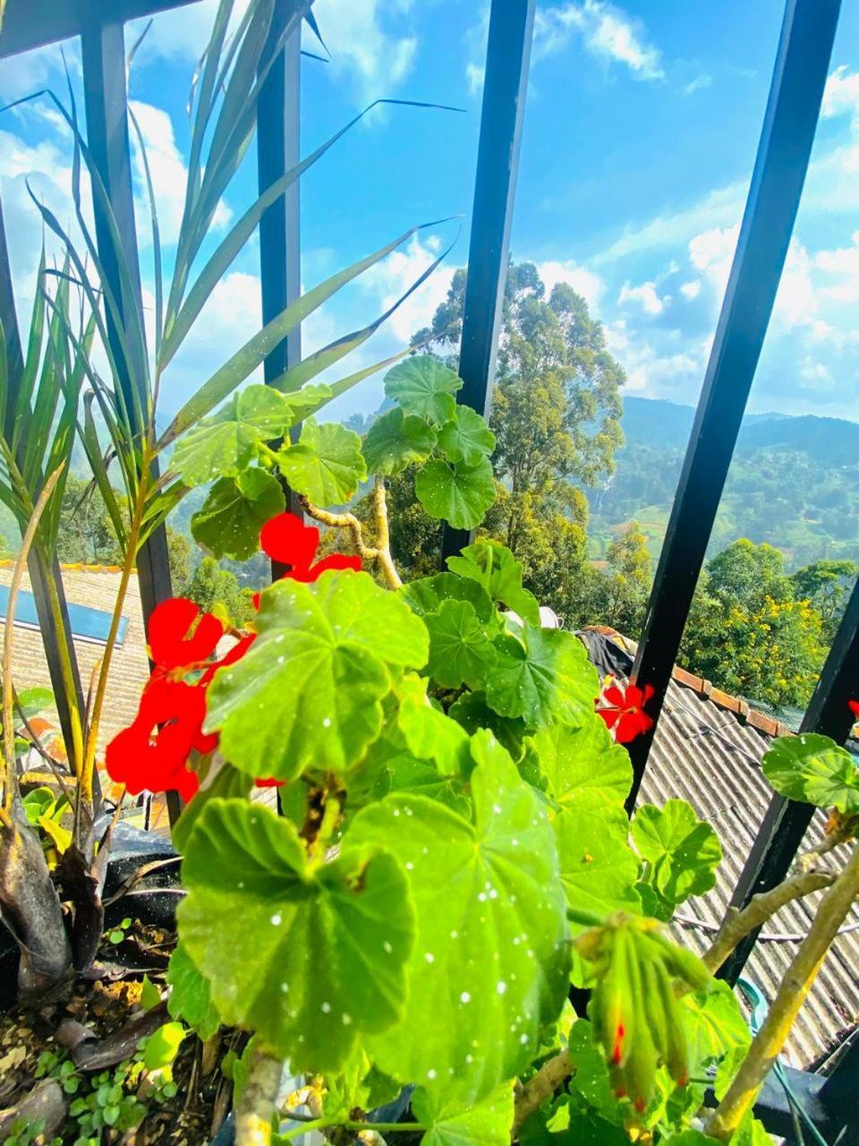 Pleasant Peak Bed & Breakfast Ella Ngoại thất bức ảnh