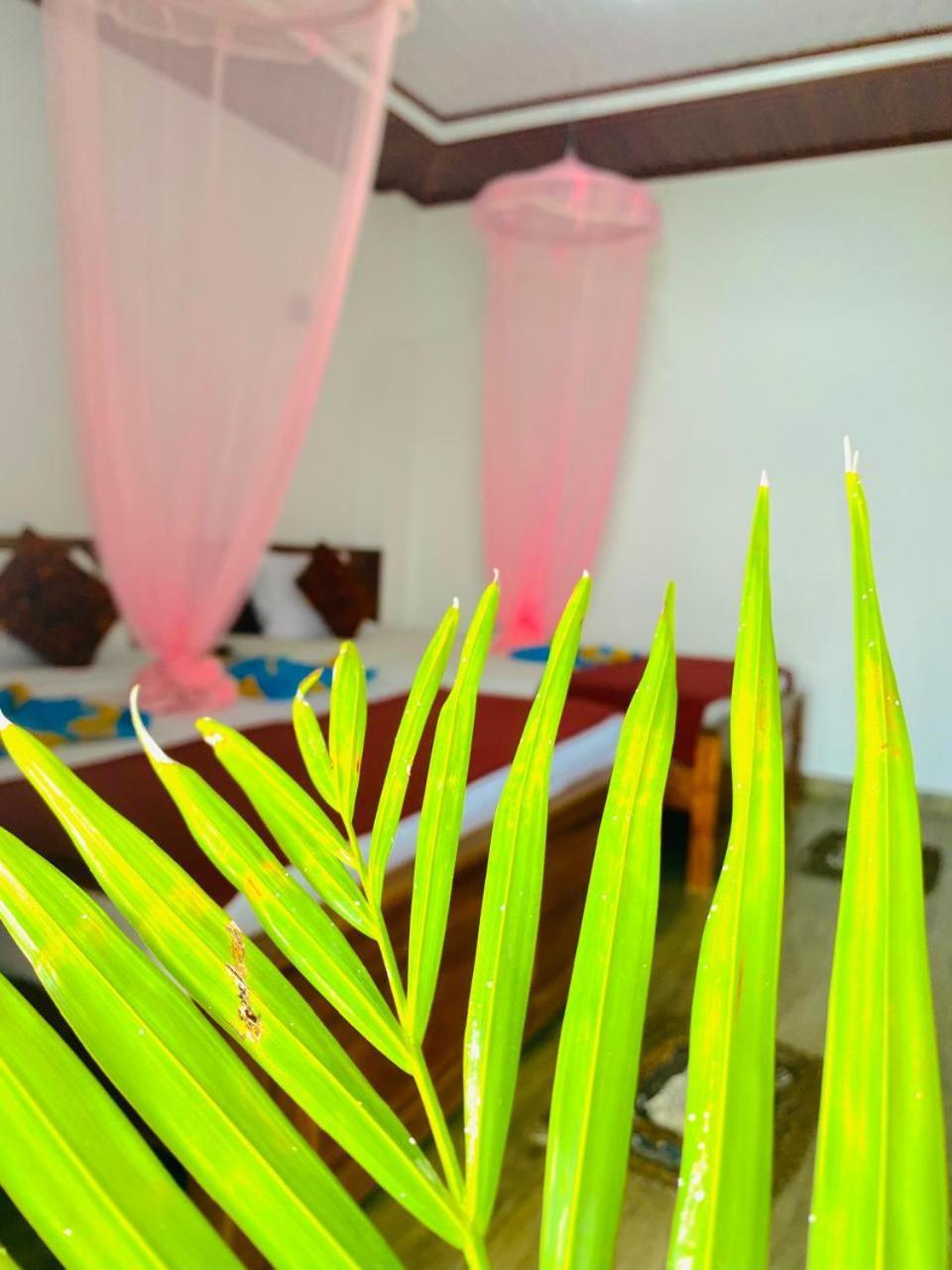 Pleasant Peak Bed & Breakfast Ella Ngoại thất bức ảnh